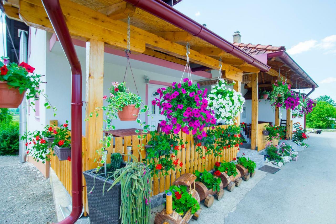Guesthouse Ella Slunj Eksteriør bilde